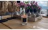 Contenedores de Cristal Sidra con Cera de Soya