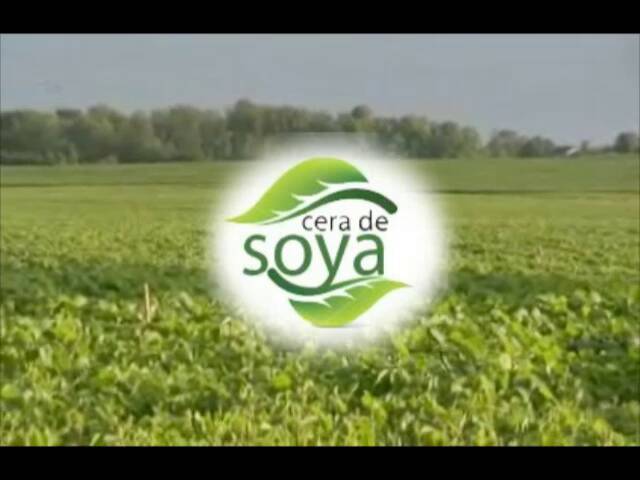 QUIMIPROVA - Cera de soya 🌿 ¿Sabías qué es de origen